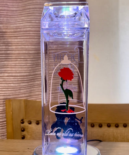 Beauty & The Beast Carton Bottle